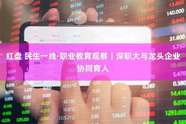 红盘 民生一线·职业教育观察丨深职大与龙头企业协同育人