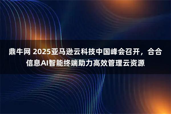 鼎牛网 2025亚马逊云科技中国峰会召开，合合信息AI智能终端助力高效管理云资源
