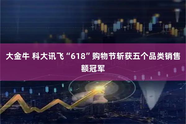 大金牛 科大讯飞“618”购物节斩获五个品类销售额冠军