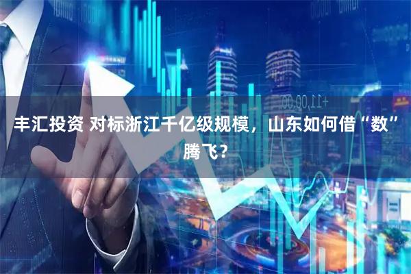 丰汇投资 对标浙江千亿级规模，山东如何借“数”腾飞？
