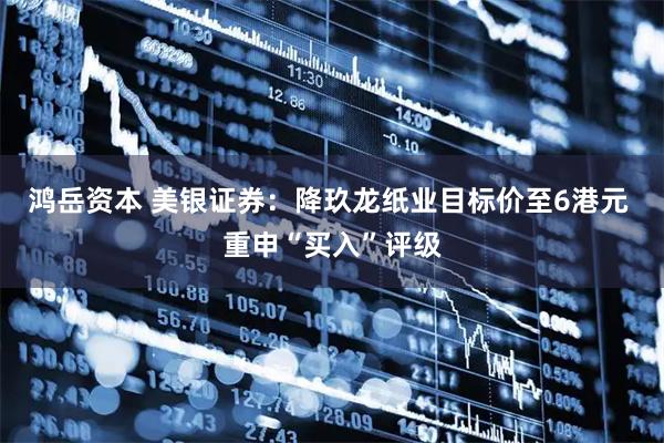 鸿岳资本 美银证券：降玖龙纸业目标价至6港元 重申“买入”评级
