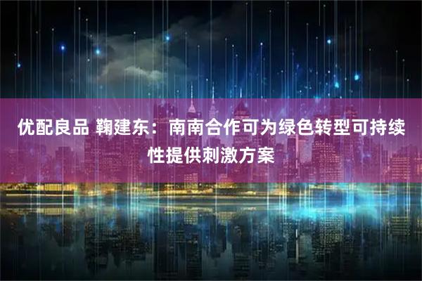 优配良品 鞠建东：南南合作可为绿色转型可持续性提供刺激方案